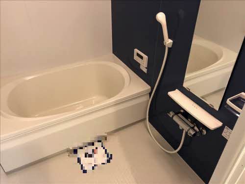 シャルマンコート住吉 0202号-10