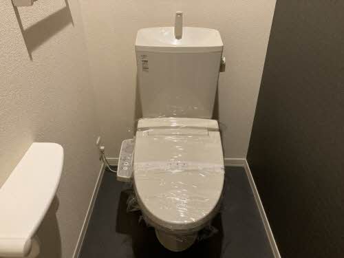 Ｗｉｓｔｅｒｉａ 0303号-2