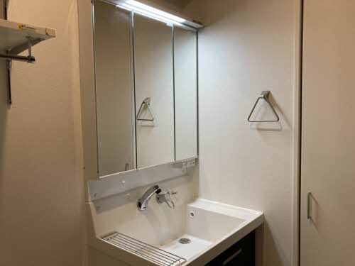 Ｗｉｓｔｅｒｉａ 0303号-6