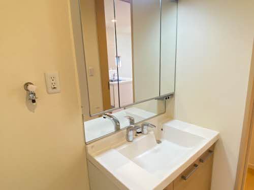 シャーメゾン・ラヴィベール 0205号-8