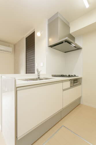 シャーメゾン　ル　レーヴⅡ 0101号-4