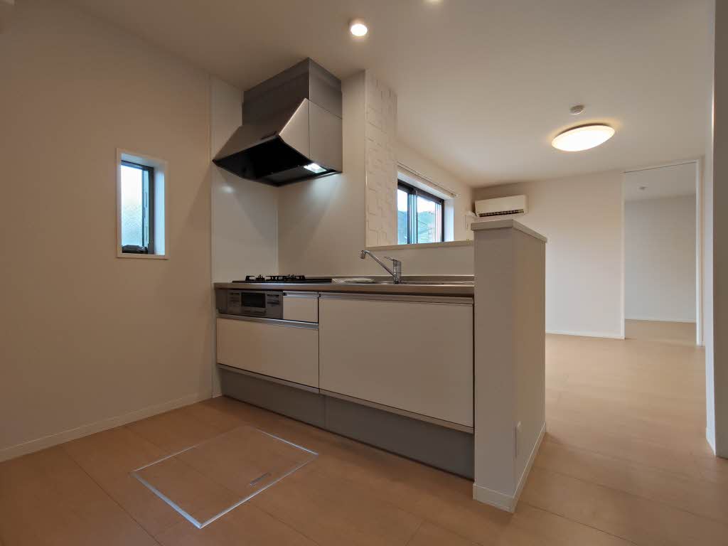 Ｓｈａ　Ｍａｉｓｏｎ　Ｒｅｐｏｓｅｒ 0102号-6
