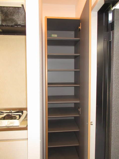 ＥＶＥＲ　ＧＲＥＥＮ 0101号-12