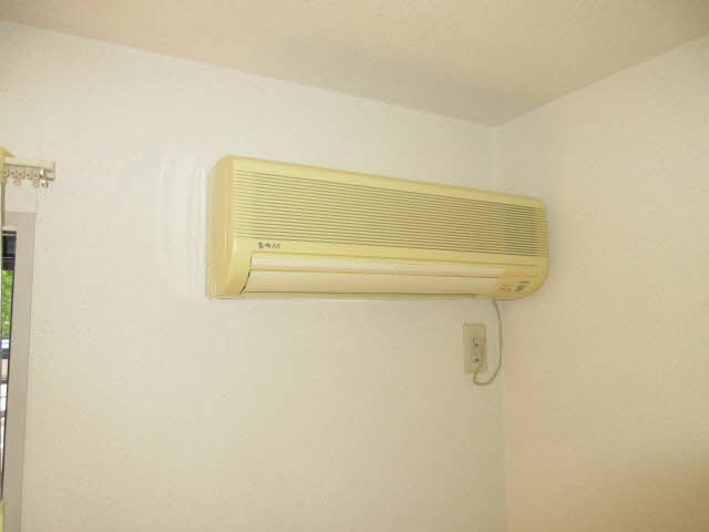 ＥＶＥＲ　ＧＲＥＥＮ 0101号-13