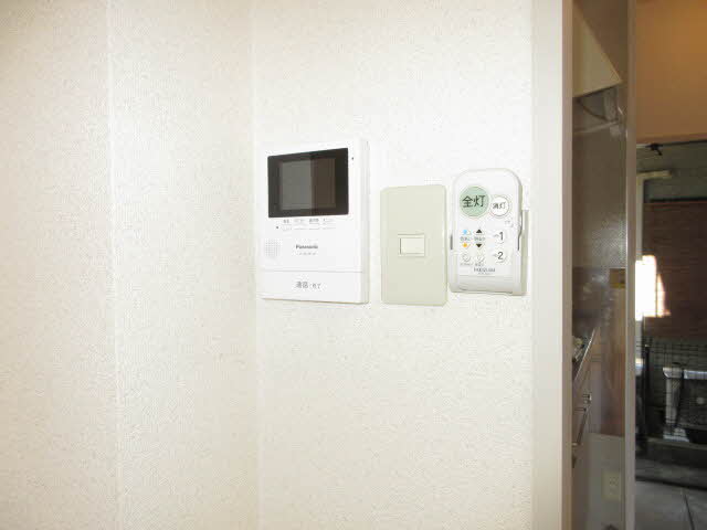 ＥＶＥＲ　ＧＲＥＥＮ 0101号-14