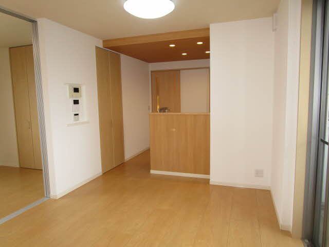 Ｓｈａｍａｉｓｏｎ　Ｃｙｇｎｕｓ 0201号-2