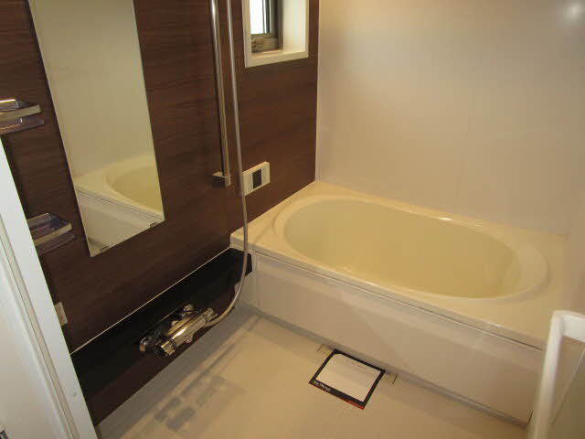 Ｓｈａｍａｉｓｏｎ　Ｃｙｇｎｕｓ 0201号-4