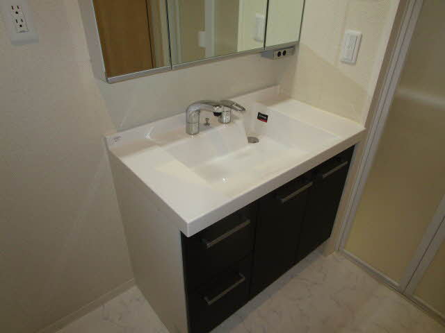 Ｓｈａｍａｉｓｏｎ　Ｃｙｇｎｕｓ 0201号-6