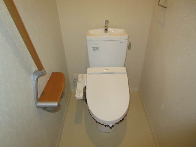 Ｓｈａｍａｉｓｏｎ　Ｃｙｇｎｕｓ 0201号-7