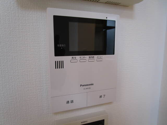 Ｓｈａｍａｉｓｏｎ　Ｃｙｇｎｕｓ 0201号-8