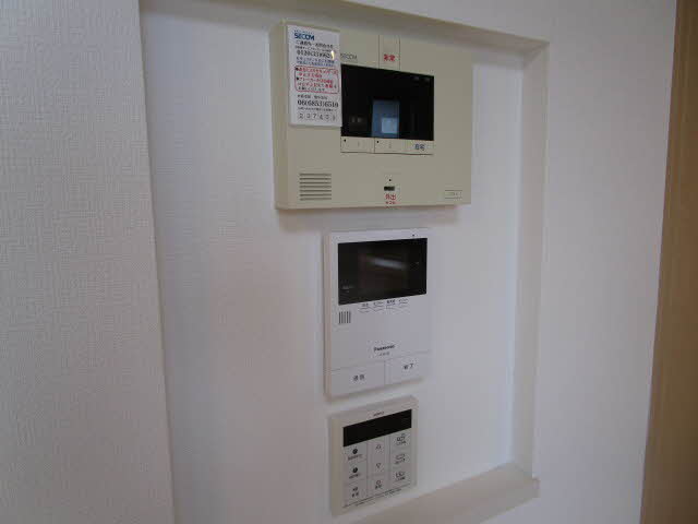 Ｓｈａｍａｉｓｏｎ　Ｃｙｇｎｕｓ 0201号-9