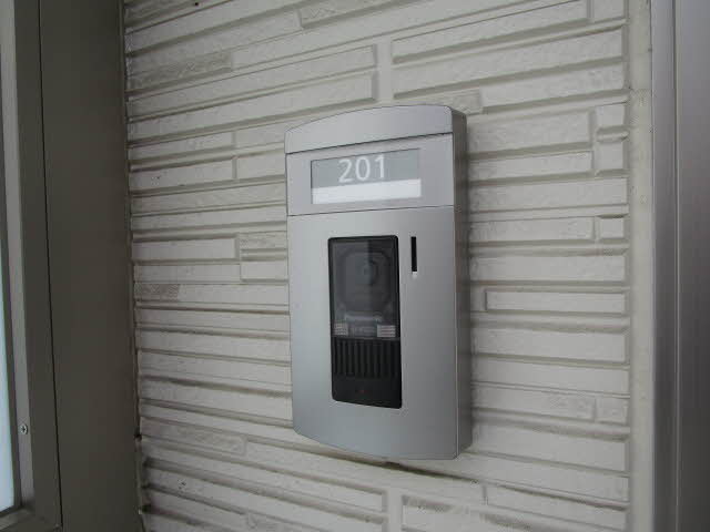 Ｓｈａｍａｉｓｏｎ　Ｃｙｇｎｕｓ 0201号-12