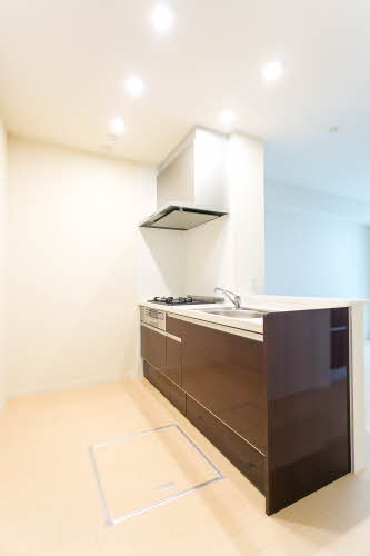 シャーメゾン　橘 0102号-9