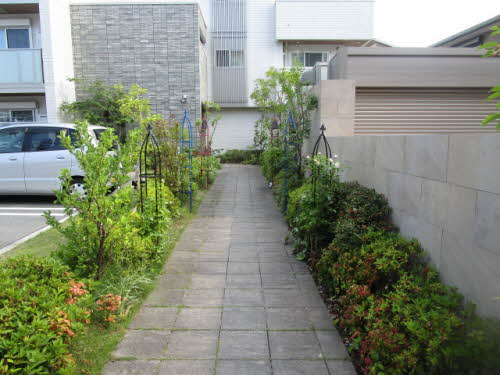 シャーメゾン　四季彩 0305号-3