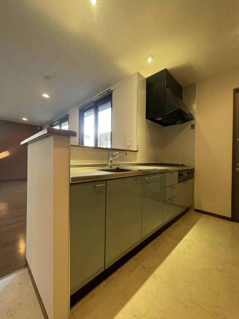 アヴェニール仁川Ⅰ 0102号-8