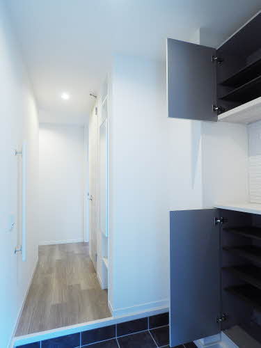 Ｓｈａｍａｉｓｏｎ　ａｉｌｅ　ｆｕｒｏｒｅ 0101号-4