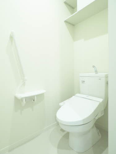 Ｓｈａｍａｉｓｏｎ　ａｉｌｅ　ｆｕｒｏｒｅ 0101号-5