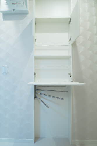 Ｓｈａｍａｉｓｏｎ　ａｉｌｅ　ｆｕｒｏｒｅ 0101号-11