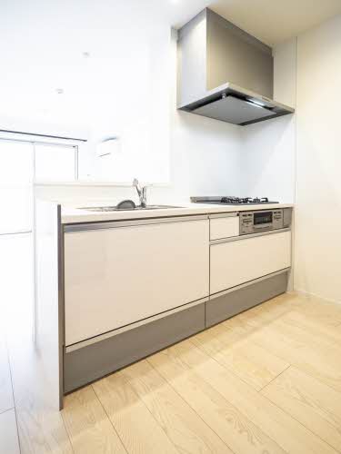 リラサーレ西宮えびす前 0301号-4