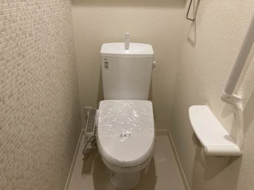 ＤＡＩＮＡＫ　Ｔ 0102号-6