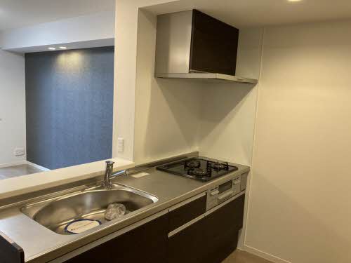 ＤＡＩＮＡＫ　Ｔ 0103号-2