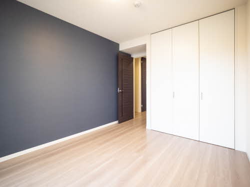 ＤＡＩＮＡＫ　Ｔ 0105号-13