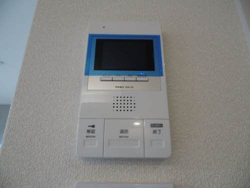 シャーメゾン　トールフェスキュー 0105号-11