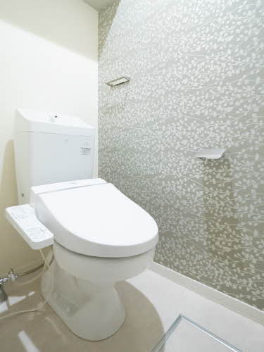 Ｓｔａｒ　Ｋ 0105号-5