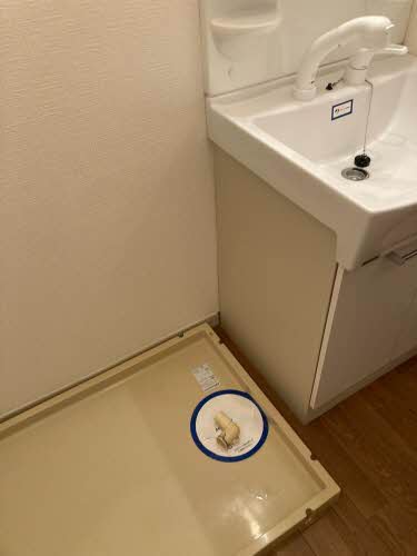 プランタン９６ 0103号-8