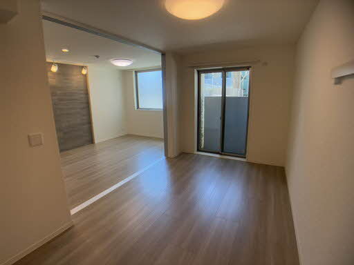 ｖｉｎｃｕｌｕｍ　ＡＫ 0101号-6