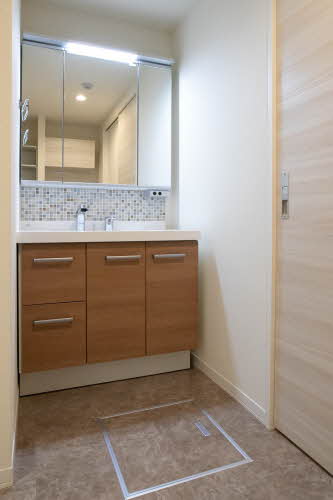 ｖｉｎｃｕｌｕｍ　ＡＫ 0103号-7