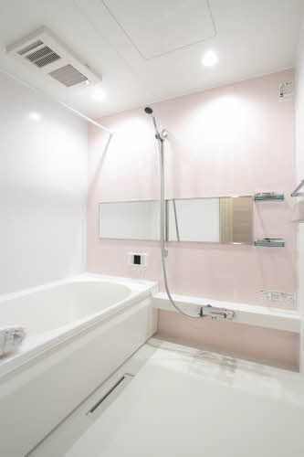 ｖｉｎｃｕｌｕｍ　ＡＫ 0103号-9