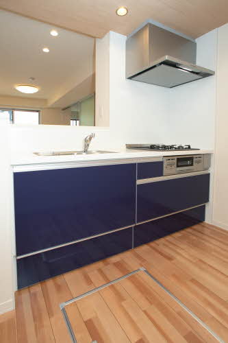 ｖｉｎｃｕｌｕｍ　ＡＫ 0103号-10