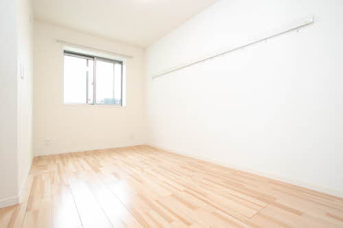 ｖｉｎｃｕｌｕｍ　ＡＫ 0103号-11