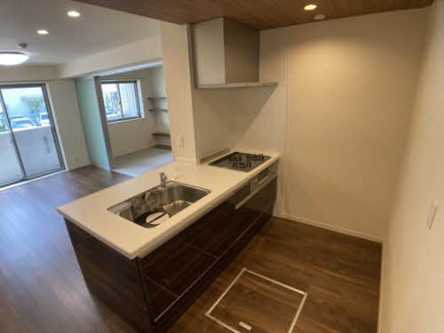 ｖｉｎｃｕｌｕｍ　ＡＫ 0106号-3