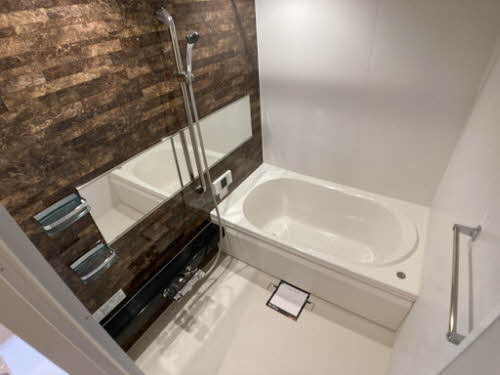 ｖｉｎｃｕｌｕｍ　ＡＫ 0106号-4