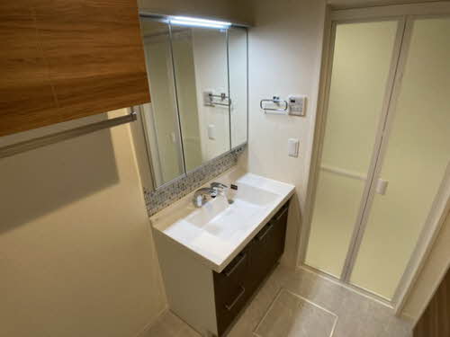 ｖｉｎｃｕｌｕｍ　ＡＫ 0106号-8