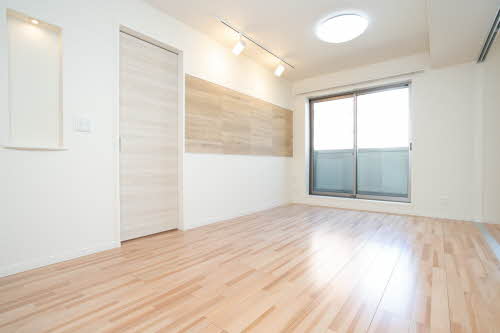 ｖｉｎｃｕｌｕｍ　ＡＫ 0303号-2