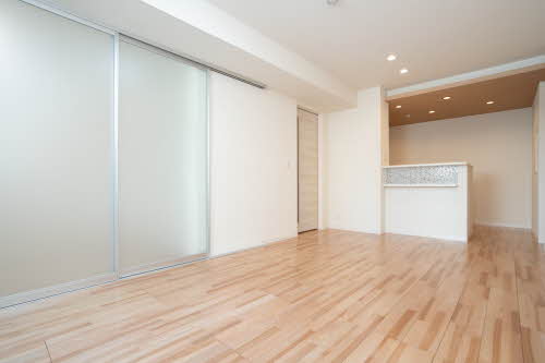 ｖｉｎｃｕｌｕｍ　ＡＫ 0303号-3