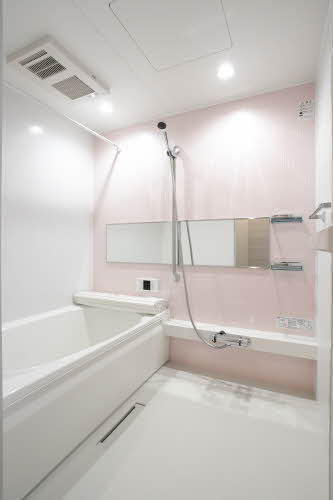 ｖｉｎｃｕｌｕｍ　ＡＫ 0303号-9