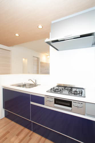 ｖｉｎｃｕｌｕｍ　ＡＫ 0303号-10