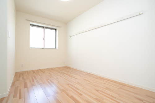 ｖｉｎｃｕｌｕｍ　ＡＫ 0303号-11