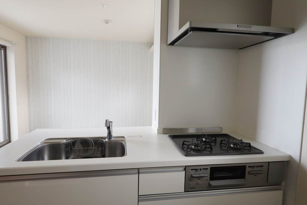 Casetta di gatto 0301号-10