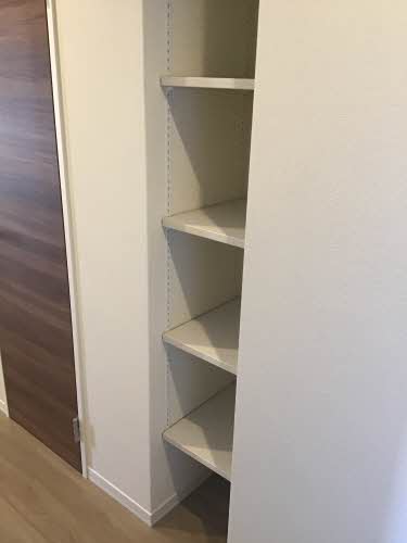 シャーメゾン岩出清水 0203号-5