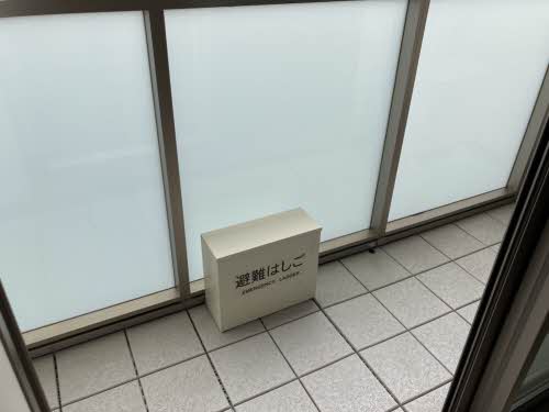 ＳｈａＭａｉｓｏｎ　ＳＯＬＵＴＩＯＮＳ　Ⅷ 0205号-11