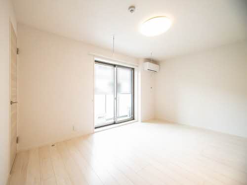 ＳｈａＭａｉｓｏｎ　ＳＯＬＵＴＩＯＮＳ　Ⅷ 0307号-2