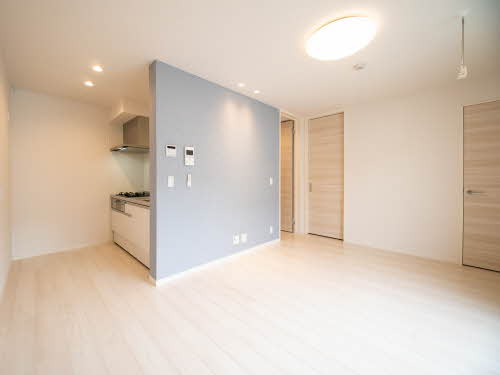 ＳｈａＭａｉｓｏｎ　ＳＯＬＵＴＩＯＮＳ　Ⅷ 0307号-3