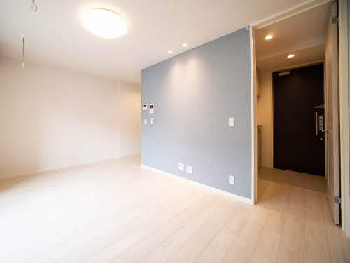 ＳｈａＭａｉｓｏｎ　ＳＯＬＵＴＩＯＮＳ　Ⅷ 0307号-11