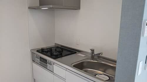 ＳｈａＭａｉｓｏｎ　ＳＯＬＵＴＩＯＮＳ　Ⅷ 0308号-4