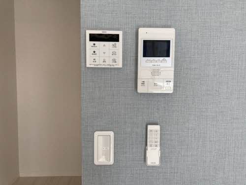 ＳｈａＭａｉｓｏｎ　ＳＯＬＵＴＩＯＮＳ　Ⅷ 0309号-8